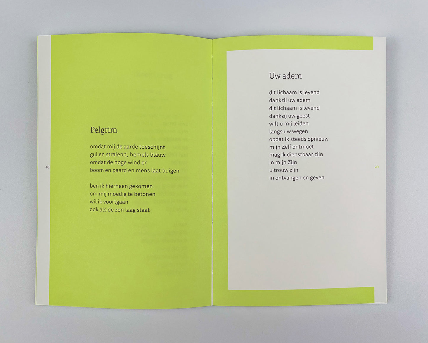 tussen werelden van licht